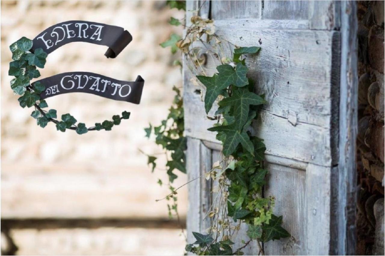 Edera Dei Guatto Bed & Breakfast Bertiolo Dış mekan fotoğraf